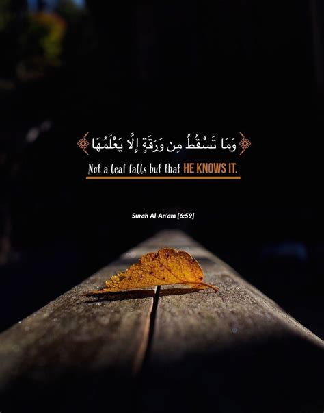 Yusuf Ali. . A leaf does not fall without the will of god quran